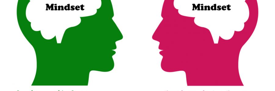 Two questions to assess mindset; One question to invite a shift
